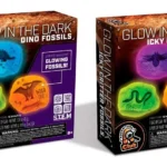 KIT DE FOSILES QUE BRILLAN EN LA OSCURIDAD