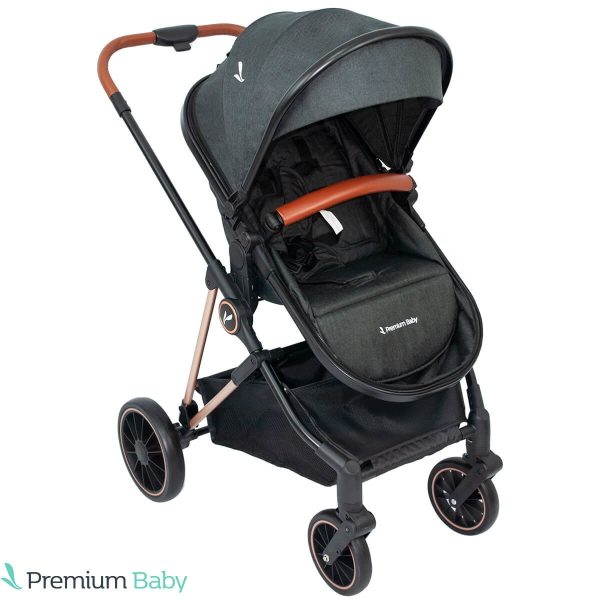 Coche Moisés Premium Baby Ana