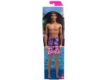 Barbie - Ken de playa traje mojado